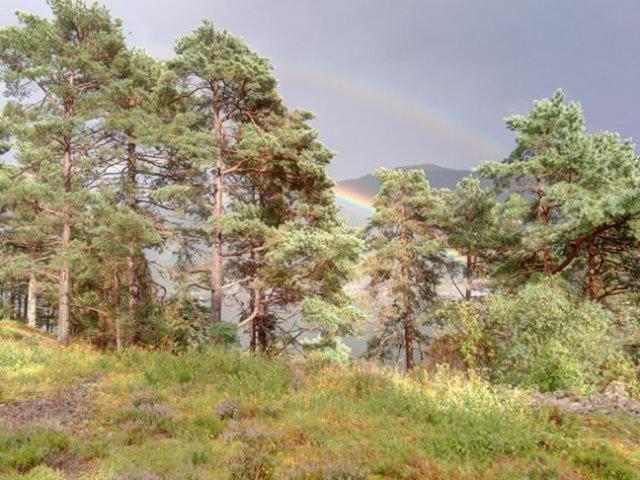 Sognevegen 2242 Apartment Haugsvaer Bagian luar foto